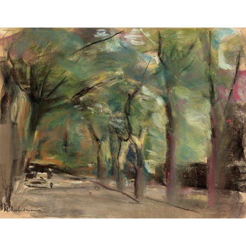 Die Colomierstraße in Wannsee – "Avenue I"