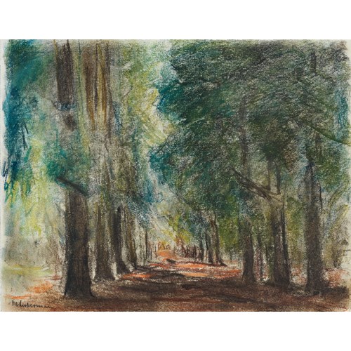 Allee in Sacrow