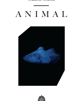 Animal (French)