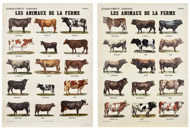 Les animaux de la ferme (Farm Animals) (V. 22)