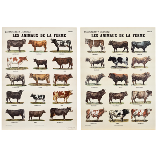 Les animaux de la ferme (Farm Animals) (V. 22)