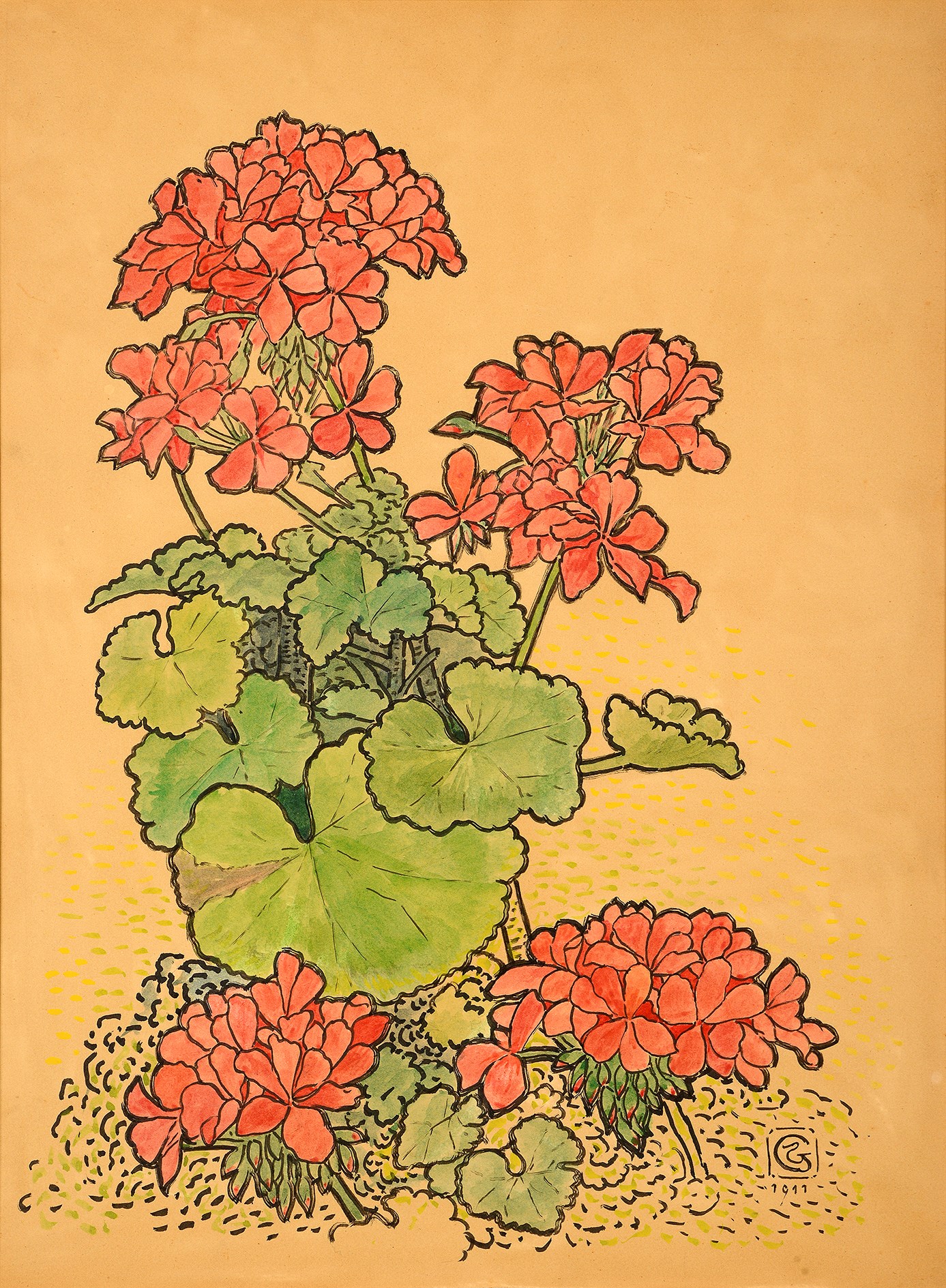 Geraniums