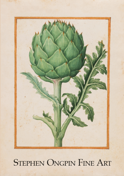 Drawn To Nature: Flora and Fauna from the 16th Century to the Present Day 2020