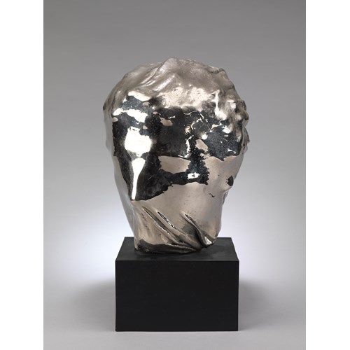 Portrait of an Unknown Beauty