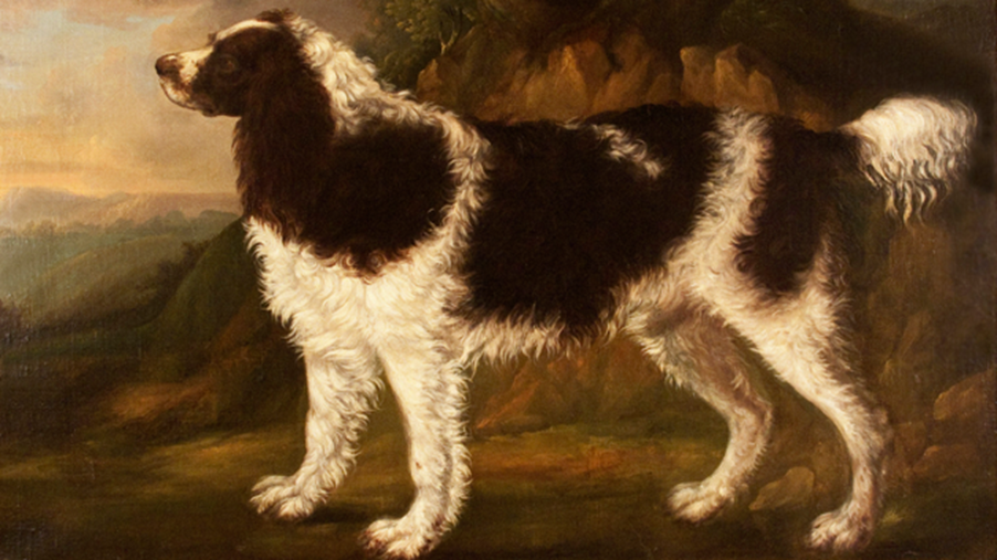 New York’s Upper East Side proudly presents the best dog show in town