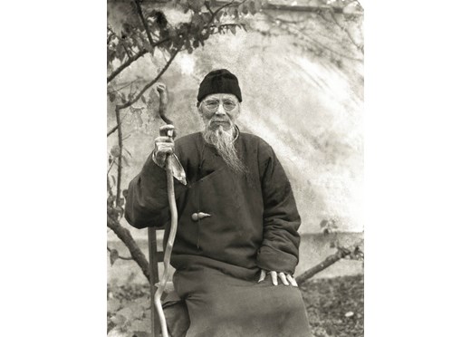 The Allure of Qi Bashi