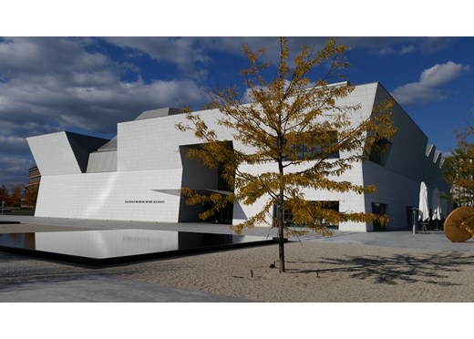 Toronto Discovers the World of the Fatimids