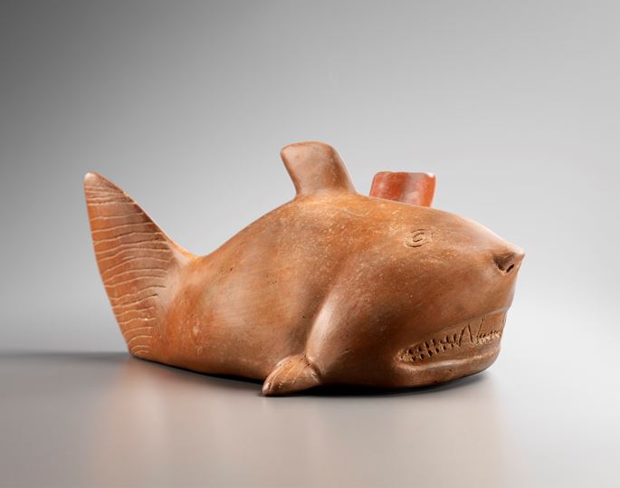 COLIMA - Shark vase | MasterArt