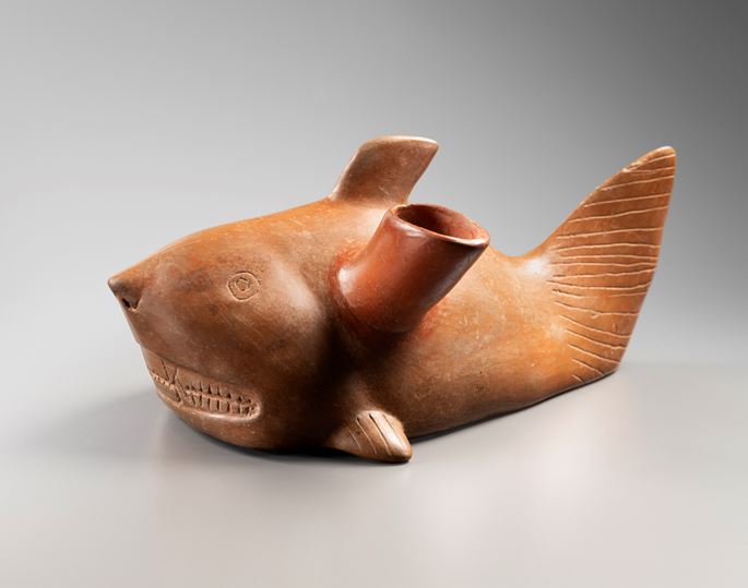 COLIMA - Shark vase | MasterArt