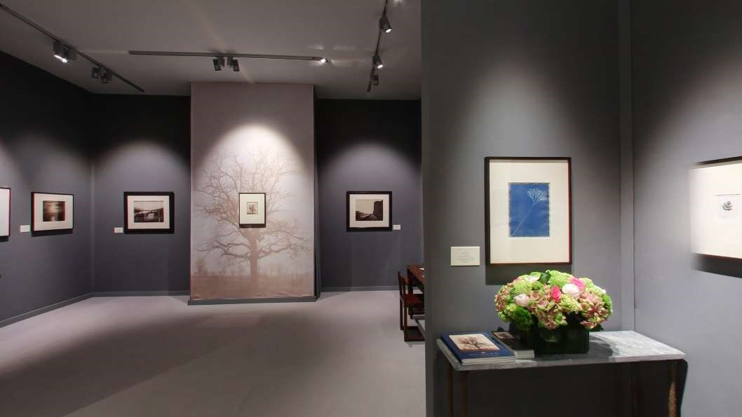 Hans P. Kraus Jr. Inc. - TEFAF Spring 2017