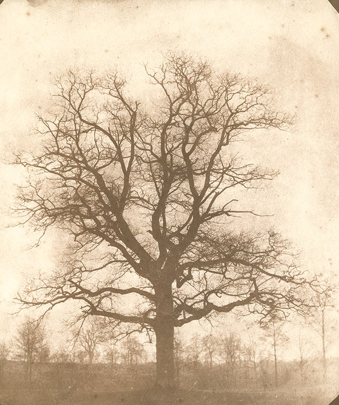 Hans P. Kraus Jr. Inc.