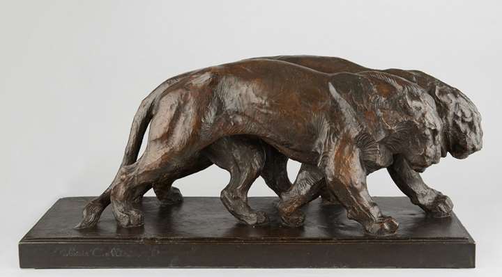 Deux lionnes marchant