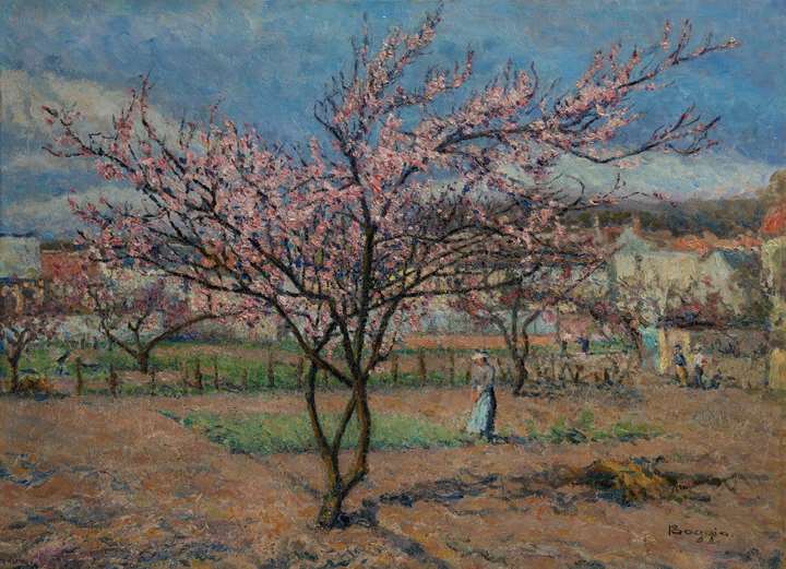 Le pêcher en fleurs
