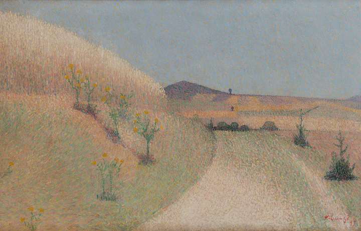 Le chemin bordé de chardons