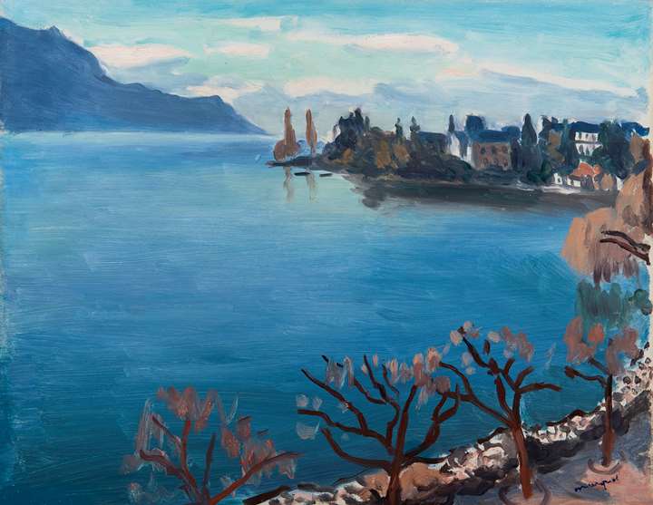 Brumes sur le Lac Léman