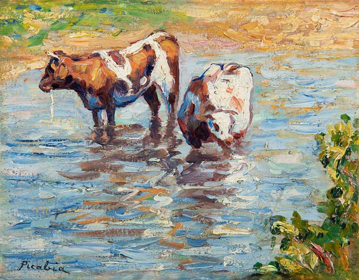 Deux vaches s'abreuvant
