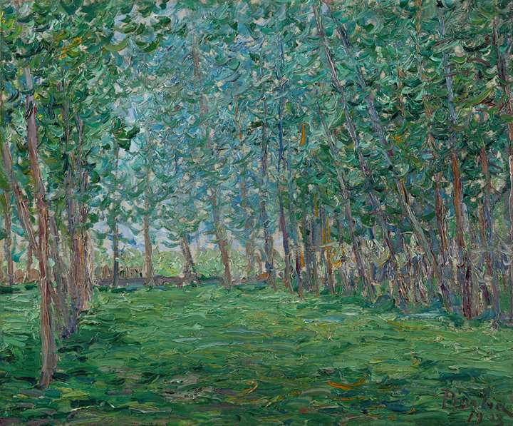 Champ près d'un bois