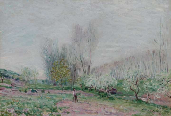 Les Pommiers en fleurs à Moret-sur-Loing