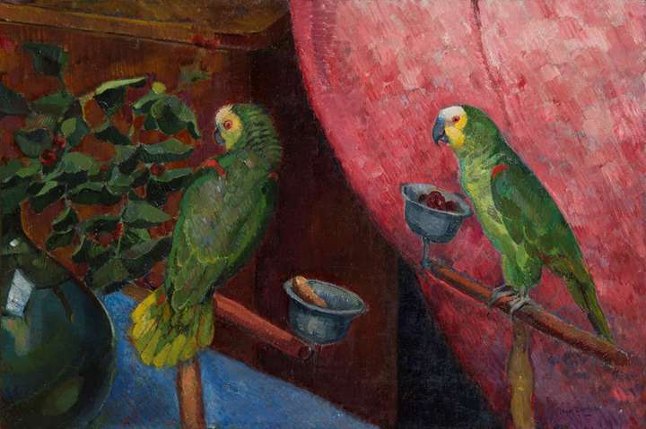 Composition aux perroquets
