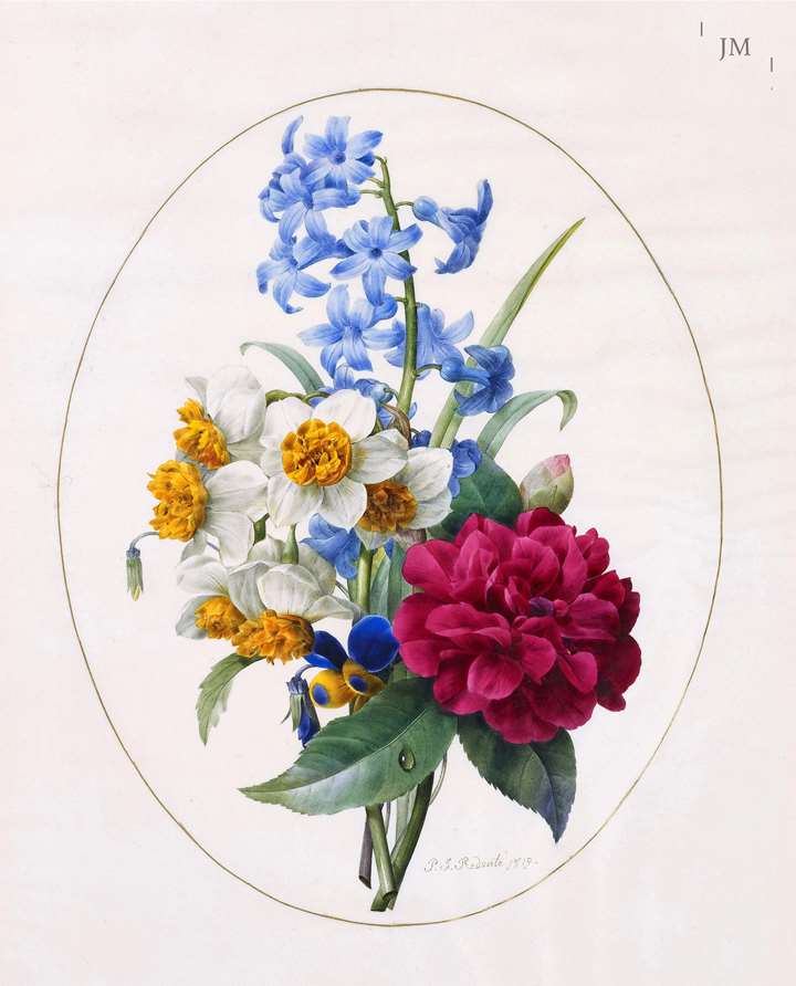 A Sprig of Spring Flowers – hyacinth, narcissi, camellias and a pansy