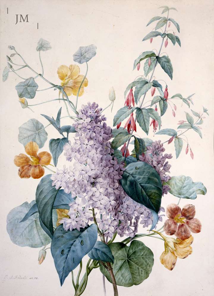 Lilacs, Nasturtium & Fuschia