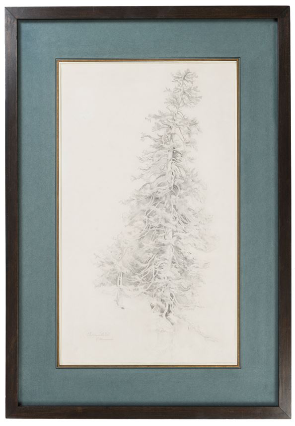 Carl Hummel - A Spruce Tree in the Rosenlaui Valley in the Bernese Alps | MasterArt