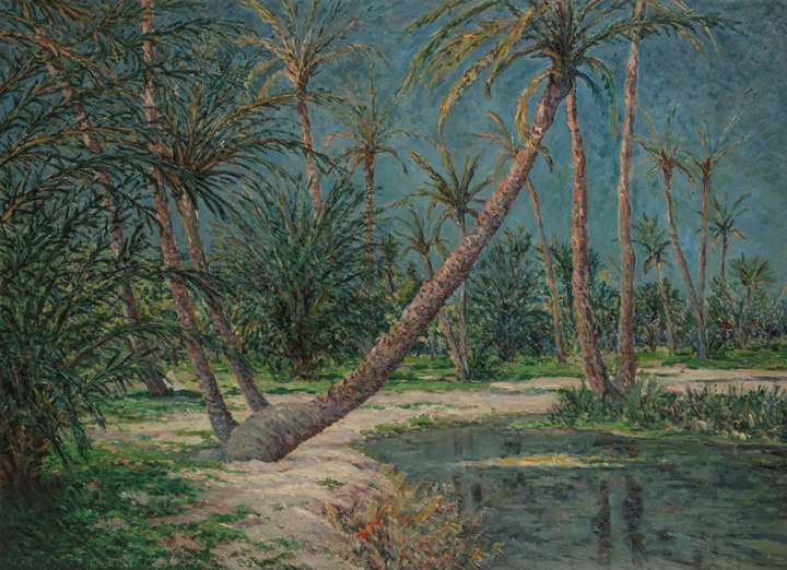 Palmeraie Saharienne, Oasis de Doucen