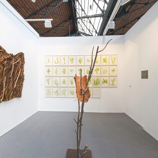 Tucci Russo Studio per l'Arte Contemporanea - Art Brussels 2017