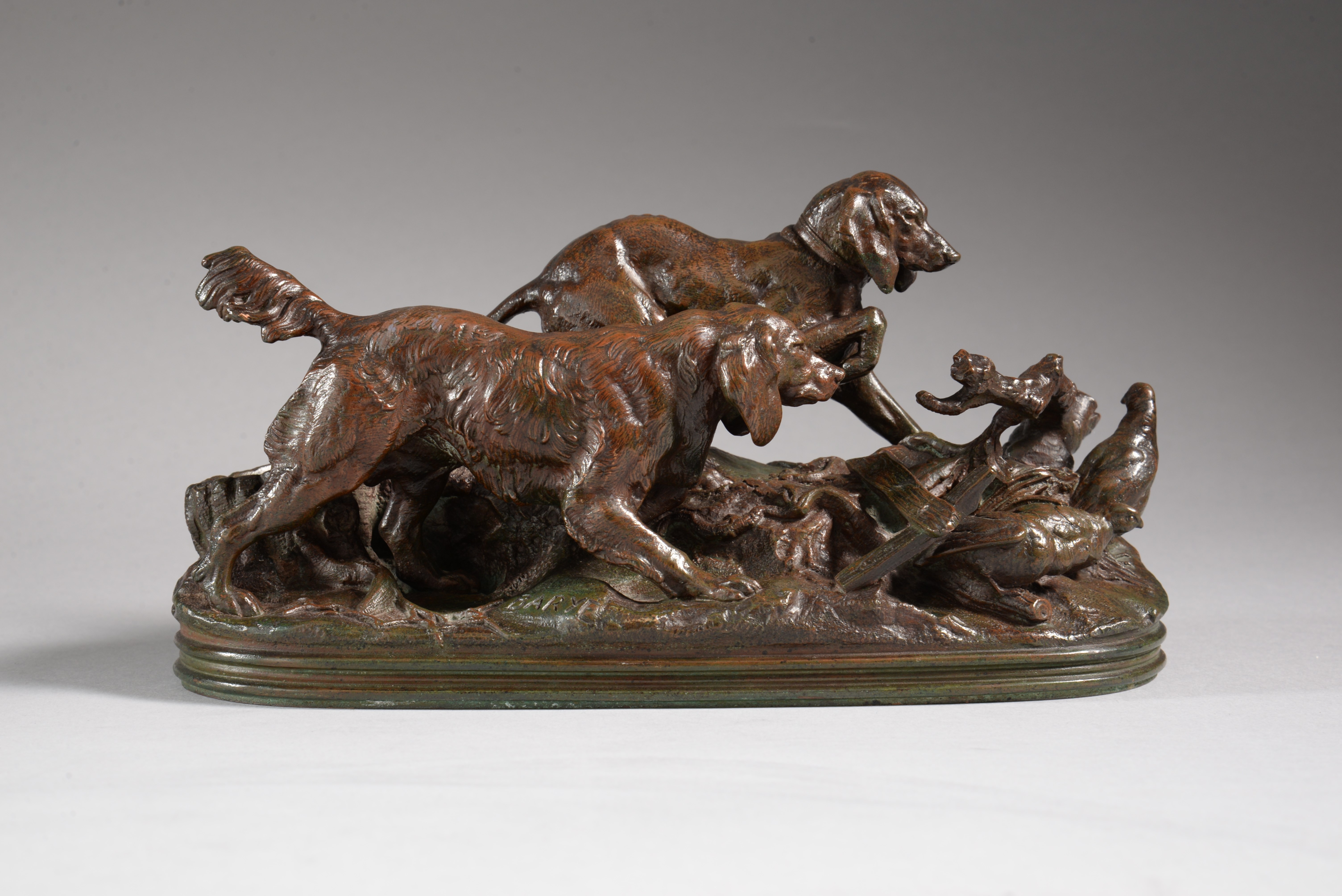 Russie Borzoi Chien Très Courageux Et Rapide Chien De Chasse Travaux Sur Un Lièvre Le Renard Et Le Loup Même