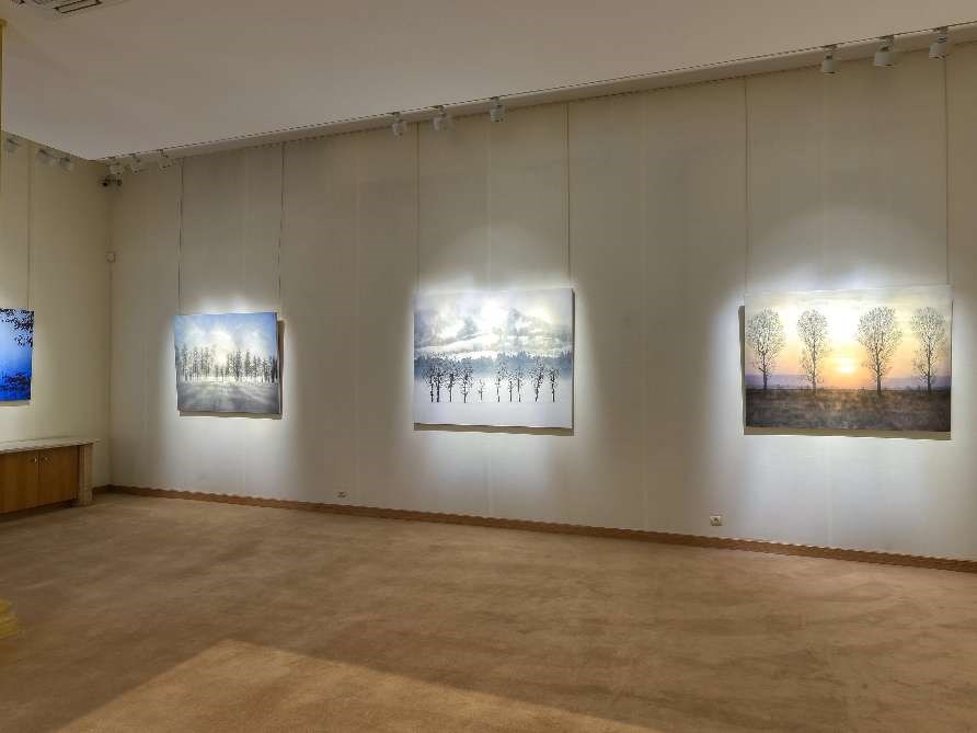 Galerie Tamenaga - Nouvel Horizon Japon