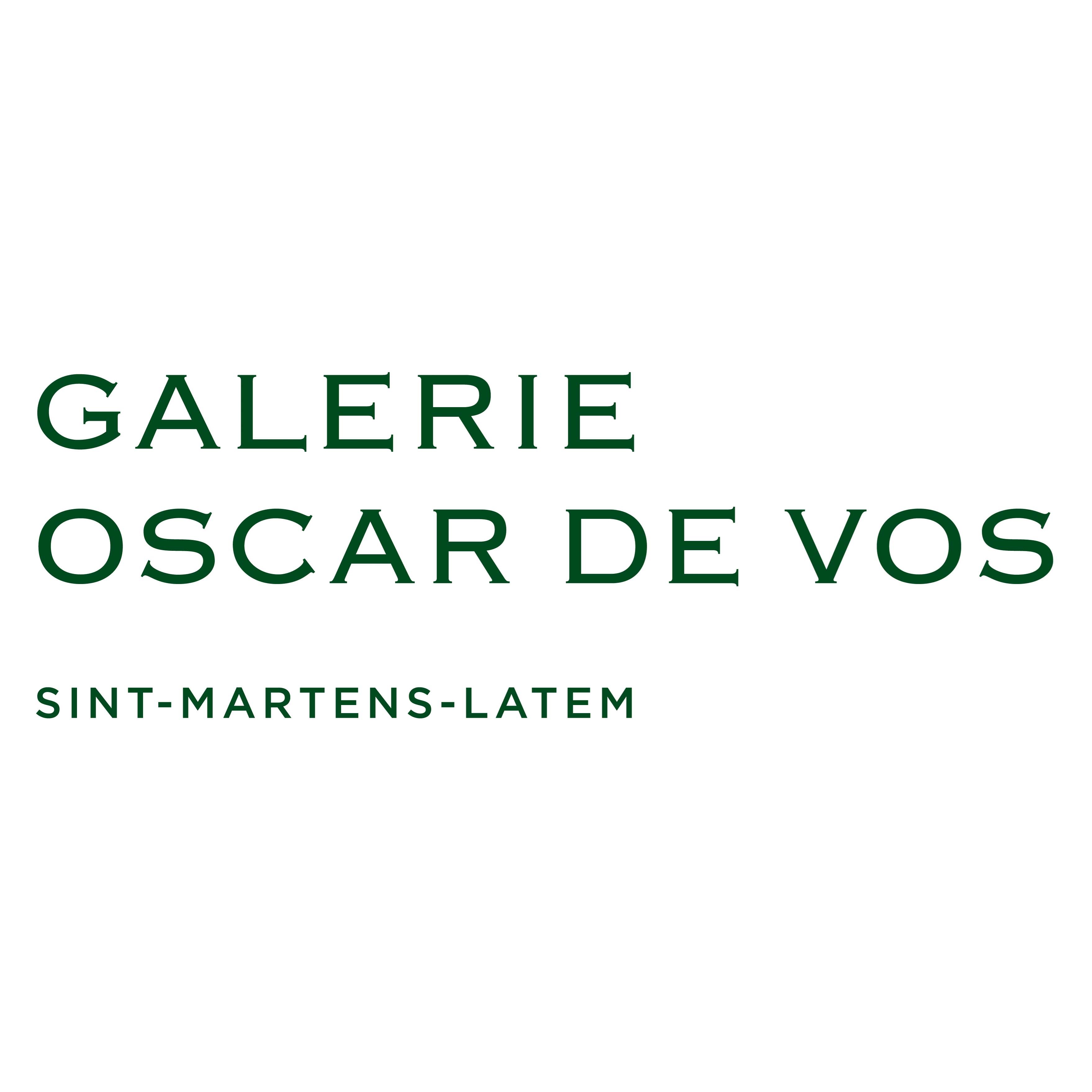 Galerie Oscar De Vos