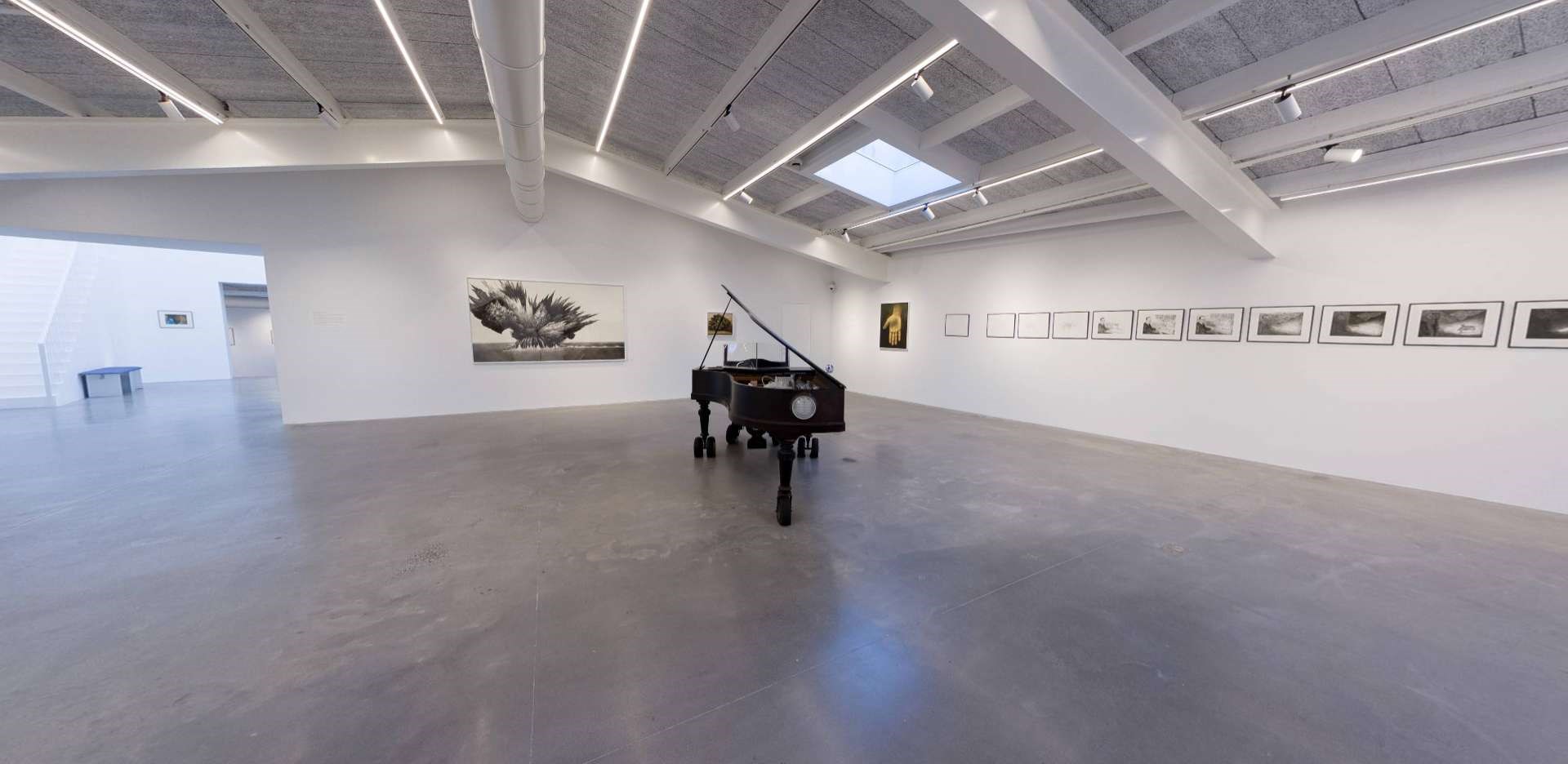 HUBERTY & BREYNE - Nicolas de Crécy | Le Manchot mélomane & Visa transit