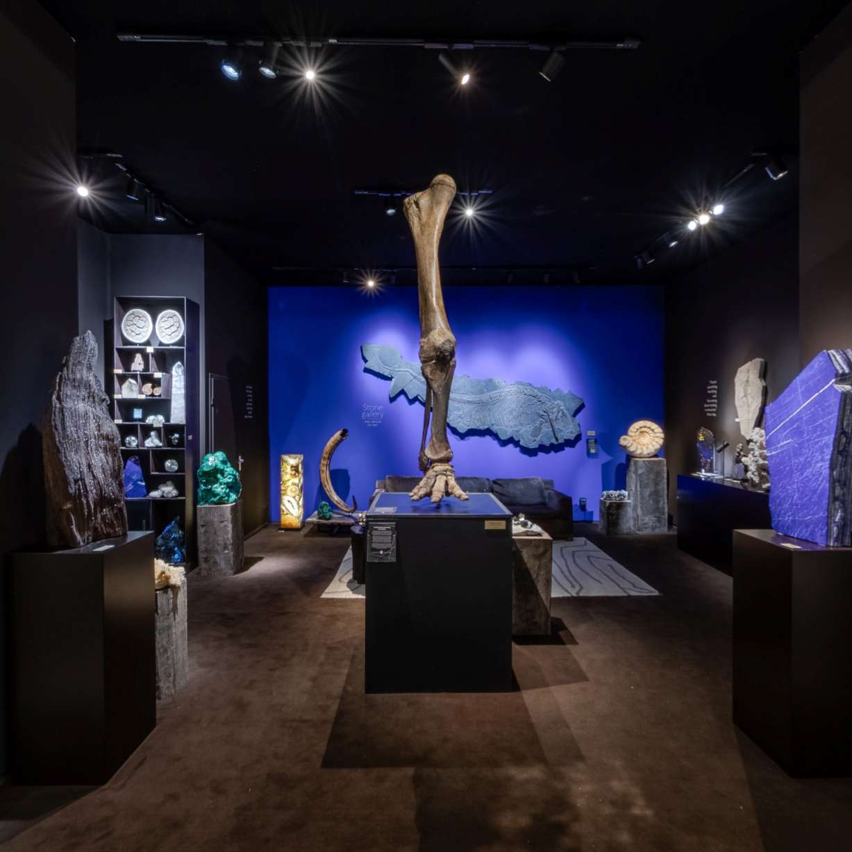 Stone Gallery - BRAFA 2025